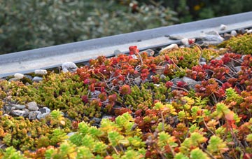 the cost of Sildinis green roof installation