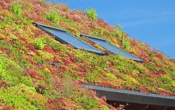 Sildinis living roof systems